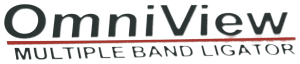 omniview